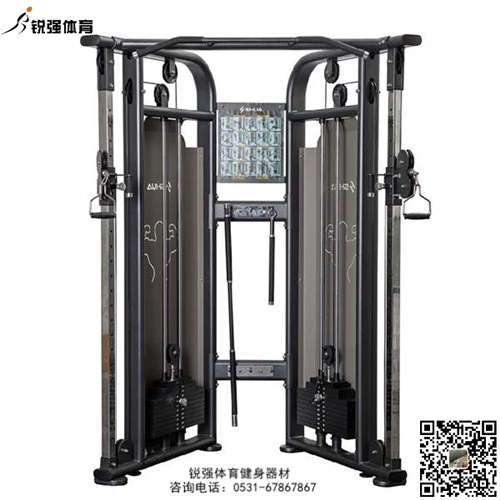 大飛鳥(niǎo)訓(xùn)練器